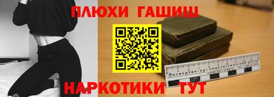 крисы Аргун