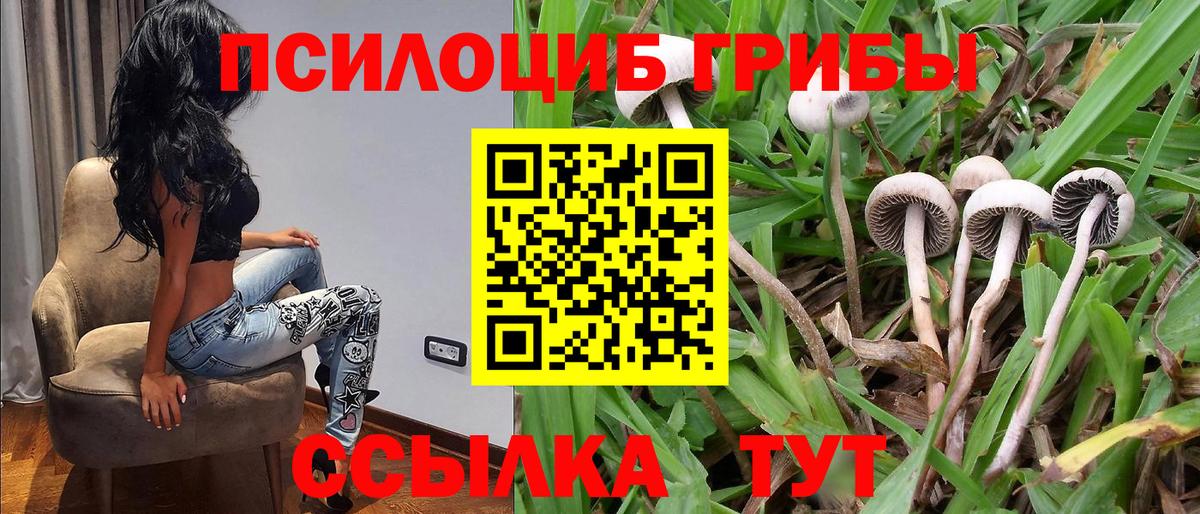 цены наркотик  Вход с VPN  Артёмовский  Псилоцибиновые грибы GOLDEN TEACHER 